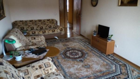 Apartment on Revolutsii 11